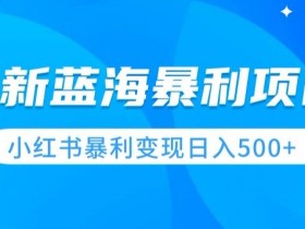 小红书短剧推广赚不赚钱，真实收益与蓝海操作分享