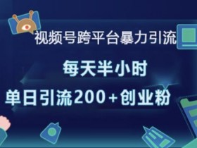 视频号素人如何通过矩阵运营快速涨粉，批量增粉的实战技巧