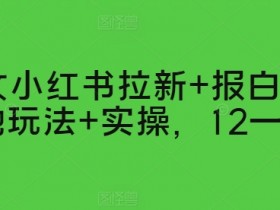 2025年短剧蓝海风口，小红书短剧赚钱的实操干货分享