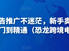 亚马逊成人用品广告的精准投放策略，流量变现的关键点