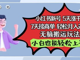 短剧搬砖操作全解析，小红书如何快速实现收益增长？