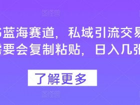 小红书海外旅游攻略怎么做，虚拟项目变现案例详解