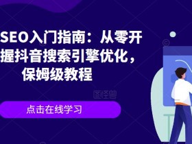 抖音SEO关键词优化PPT，从基础到实战的优化演示教程