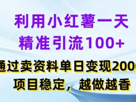 小红书掘金项目能稳定赚钱吗，蓝海虚拟赛道的核心操作