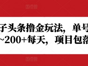 今日头条号项目打卡写文章赚取收益，日产50+保姆级新手教程