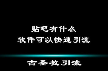 贴吧引流是否值得做，深度分析平台的优势与挑战