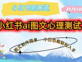 如何搬运小红书短剧，轻松爆流的无脑操作方法分享