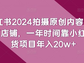 2025年短剧蓝海风口，小红书短剧赚钱的实操干货分享