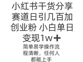 小红书高端私人定制项目，一单3000+利润的全套教程