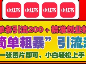 小红书精准引流实战课程，日引200+流量的操作步骤