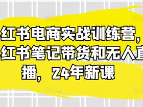 短剧推广蓝海项目解析，小红书如何低门槛赚大钱？