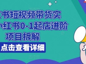 小红书掘金流量项目日入千元，低成本高收益玩法全解析