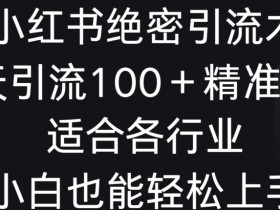 如何写小红书运营工作内容，简历与求职的高分模板分享