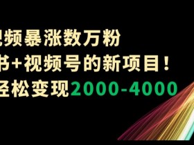 小红书如何高效带货，笔记推广与精准引流的全解析