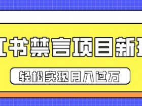 如何用小红书做高效引流，从发布到转化的完整流程