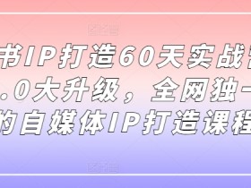 小红书掘金虚拟项目的核心玩法，零基础操作月入过万的教程