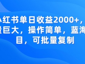 书单号项目轻松上手，推荐给新手小白的赚钱方式