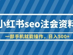 抖音SEO数据分析课程，新手轻松掌握流量优化的核心技巧