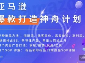 亚马逊运营实战分享，成功卖家教你快速提升销量