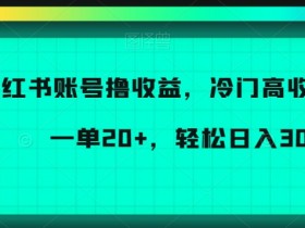 如何通过小红书笔记实现引流，精准引导粉丝关注的技巧