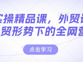 外贸小白如何通过大数据分析市场，外贸小白利用大数据分析市场趋势与客户需求