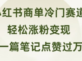 小红书掘金训练是真的吗，训练营收益与实战体验全解析