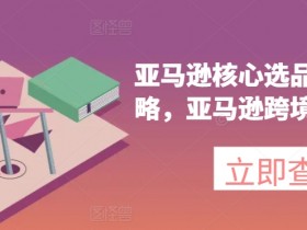 亚马逊成人用品广告的精准投放策略，流量变现的关键点