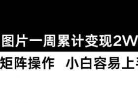 如何用小红书图文矩阵做推广，日引流量100+的秘籍分享