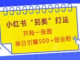 如何用小红书图文矩阵做推广，日引流量100+的秘籍分享