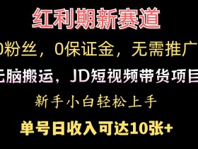 短视频运营如何打造私域流量池，从引流到变现的全流程解析