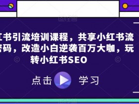 抖音SEO数据分析课程，新手轻松掌握流量优化的核心技巧