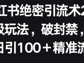 短剧推广蓝海项目解析，小红书如何低门槛赚大钱？