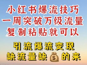 小红书掘金虚拟资源玩法，冷门赛道操作日入过万