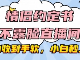 虚拟直播间的投放广告技巧，通过广告投放提升虚拟直播间的收益