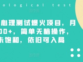 小红书掘金蓝海项目怎么玩，虚拟资料与流量引爆的秘密