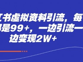 虚拟课程资料怎么做，小红书平台玩法全攻略