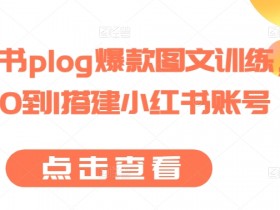 如何搬运小红书短剧，轻松爆流的无脑操作方法分享