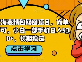 表情包项目如何结合付费推广，提高曝光率的营销策略