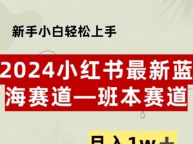 小红书掘金项目有哪些玩法，冷门赛道日入3000+的秘籍