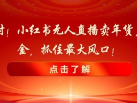 小红书笔记带货赚钱吗，分析盈利模式与成功案例