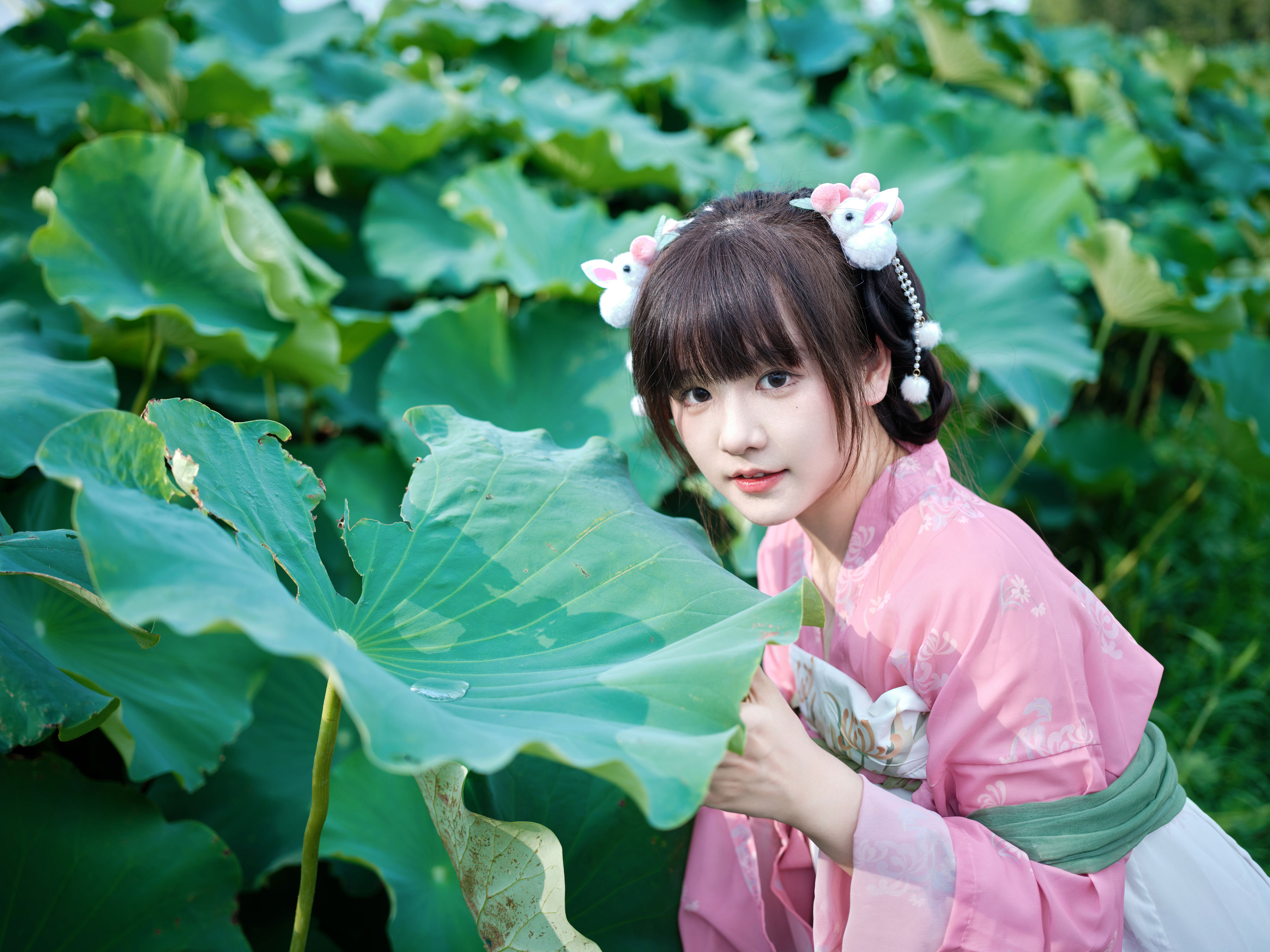 荷 荷花 少女 汉服 小清新 古装 写真 可爱