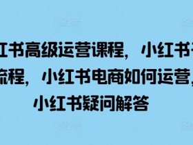 小红书高端私人定制项目，一单3000+利润的全套教程