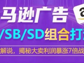 亚马逊成人用品市场需求分析，哪些产品最受买家青睐？