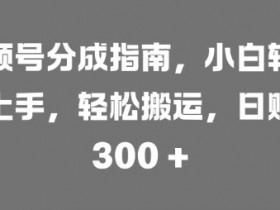 视频号素人如何通过矩阵运营快速涨粉，批量增粉的实战技巧